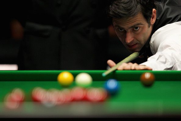 与精力参与 与精力参与